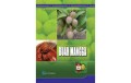 ANEKA MANFAAT BUAH MANGGA