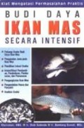 BUDIDAYA IKAN MAS SECARA INTENSIF